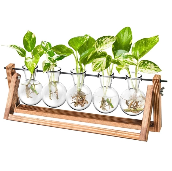 NEW Ivolador Desktop Glass 5 Bulb with Retro Wooden Stand - Picture 14 of 16